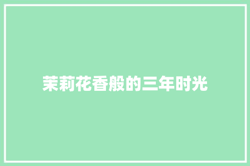 茉莉花香般的三年时光 工作总结