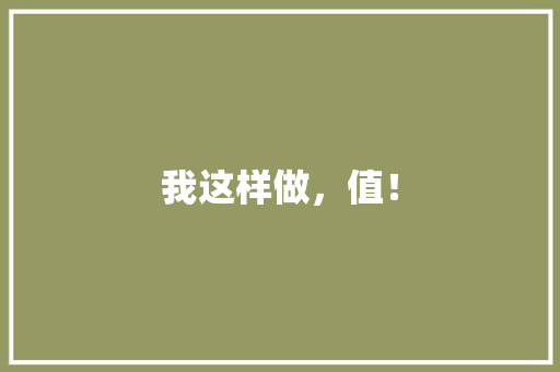 我这样做，值！