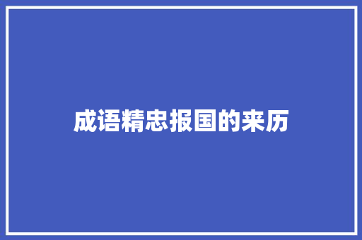 成语精忠报国的来历 工作总结