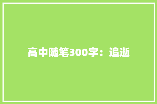 高中随笔300字：追逝
