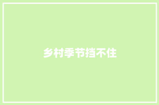 乡村季节挡不住 校园演讲