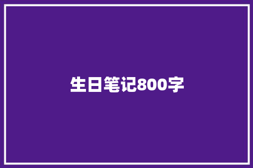 生日笔记800字