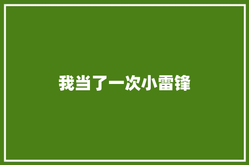 我当了一次小雷锋 求职信