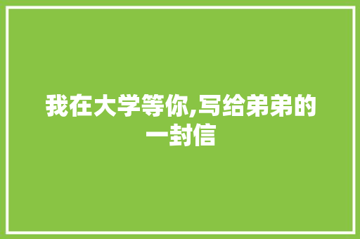 我在大学等你,写给弟弟的一封信 演讲稿
