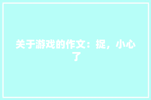 关于游戏的作文：捉，小心了
