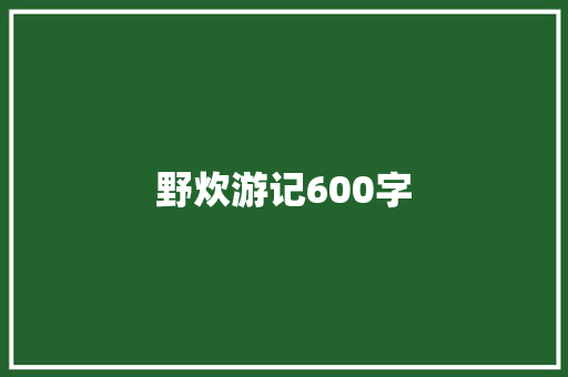 野炊游记600字