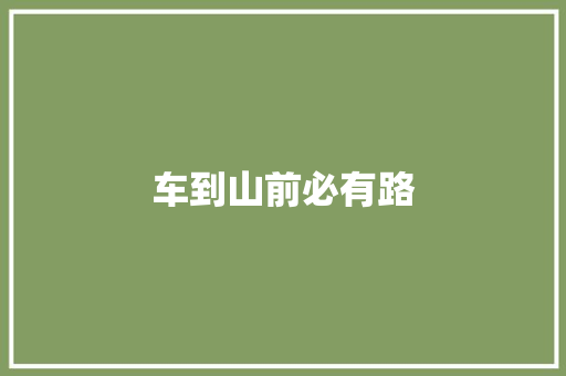 车到山前必有路