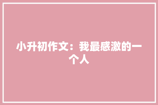 小升初作文：我最感激的一个人 演讲稿