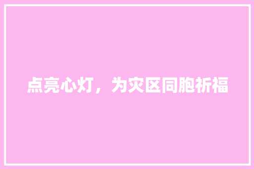 点亮心灯，为灾区同胞祈福 工作报告