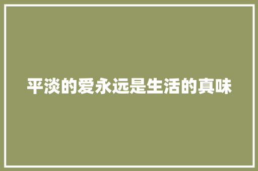 平淡的爱永远是生活的真味