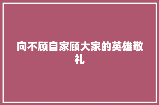 向不顾自家顾大家的英雄敬礼