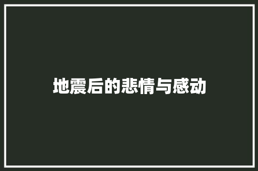 地震后的悲情与感动