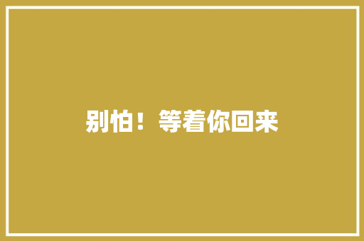 别怕！等着你回来 工作总结