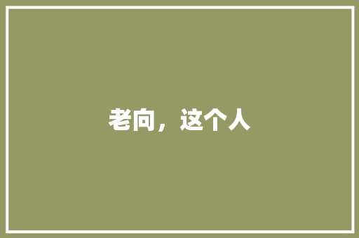老向，这个人