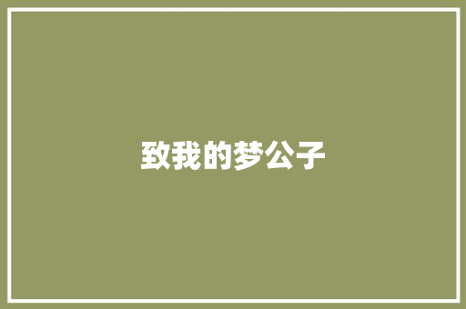 致我的梦公子