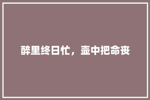 醉里终日忙，壶中把命丧