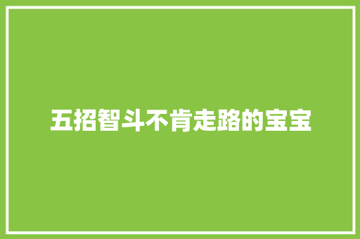 五招智斗不肯走路的宝宝