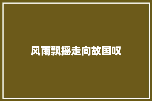 风雨飘摇走向故国叹 简历模板