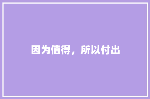 因为值得，所以付出
