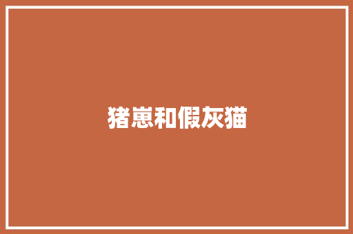 猪崽和假灰猫 励志演讲
