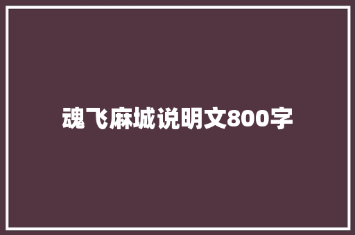 魂飞麻城说明文800字