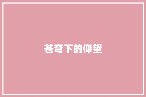 苍穹下的仰望