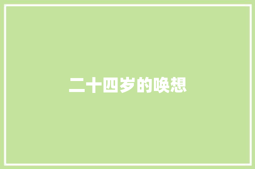 二十四岁的唤想 工作总结