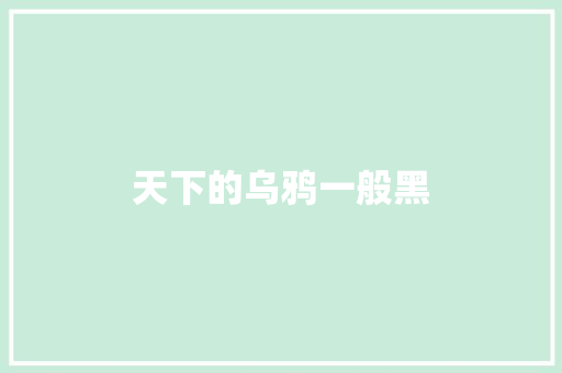 天下的乌鸦一般黑 工作总结