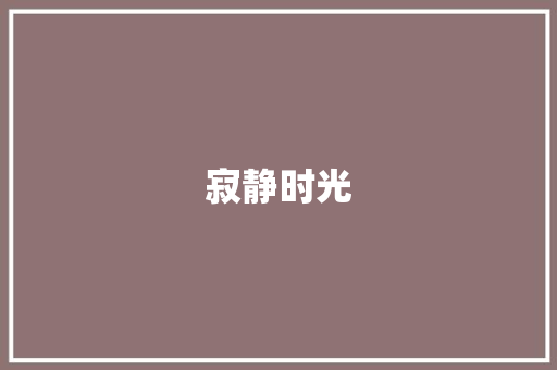 寂静时光