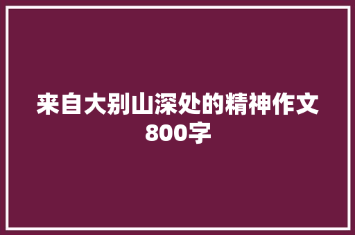 来自大别山深处的精神作文800字