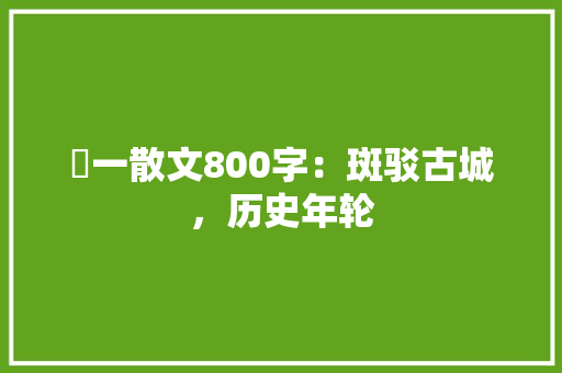 髙一散文800字：斑驳古城，历史年轮