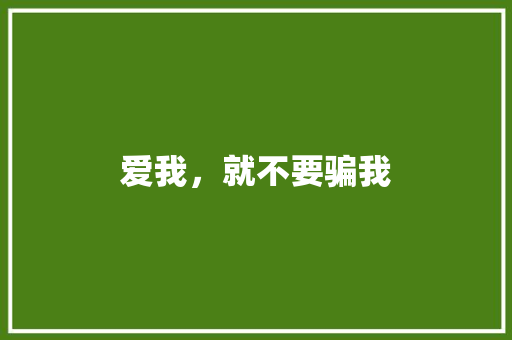 爱我，就不要骗我