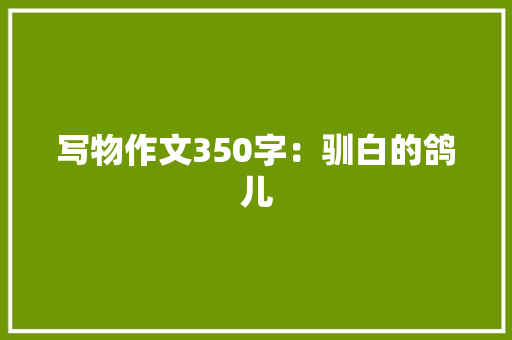 写物作文350字：驯白的鸽儿