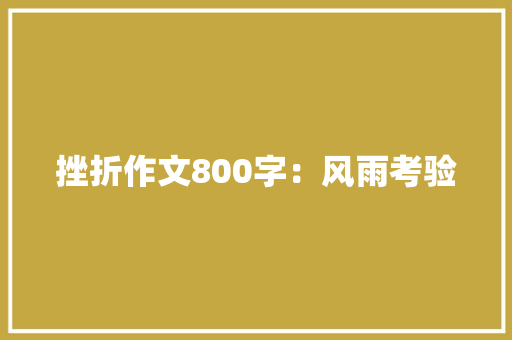 挫折作文800字：风雨考验