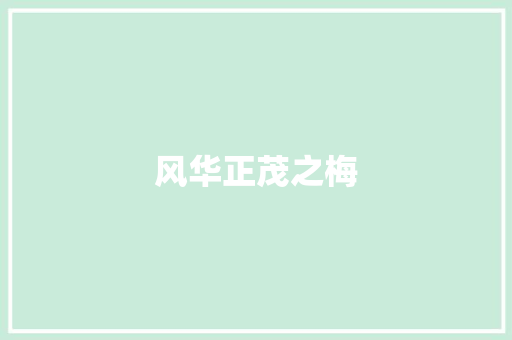 风华正茂之梅