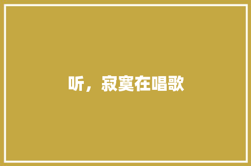 听，寂寞在唱歌