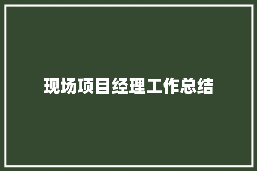 现场项目经理工作总结