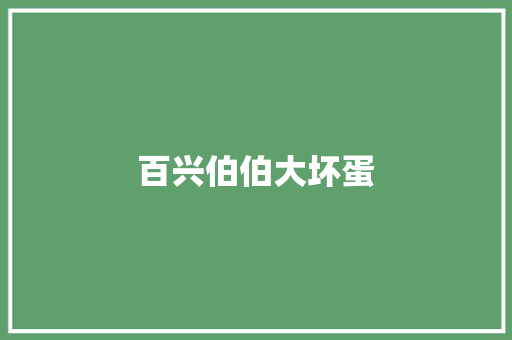 百兴伯伯大坏蛋 简历模板