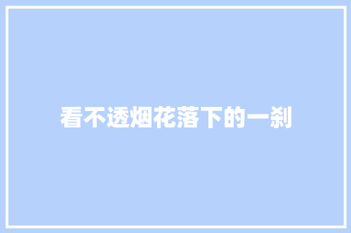看不透烟花落下的一刹