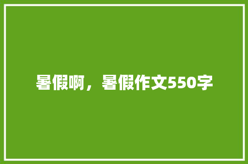 暑假啊，暑假作文550字
