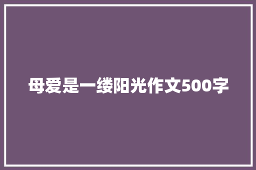 母爱是一缕阳光作文500字