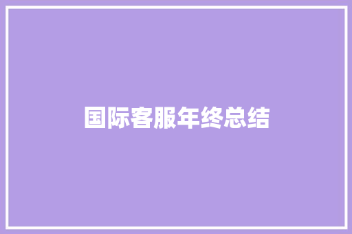 国际客服年终总结