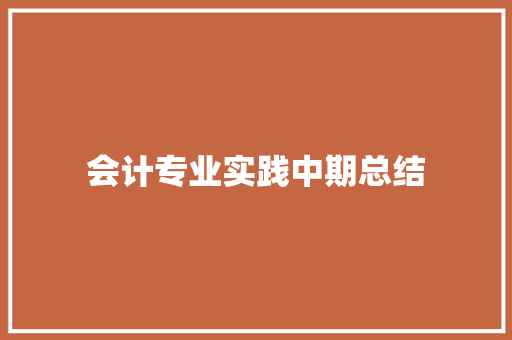 会计专业实践中期总结