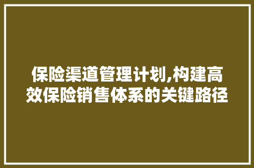 保险渠道管理计划,构建高效保险销售体系的关键路径
