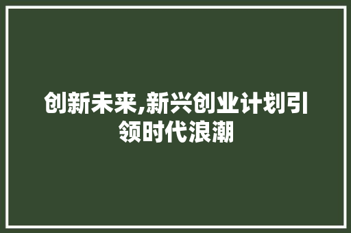 创新未来,新兴创业计划引领时代浪潮