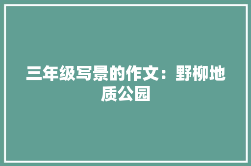 三年级写景的作文：野柳地质公园