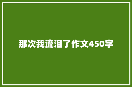 那次我流泪了作文450字