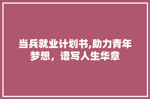 当兵就业计划书,助力青年梦想，谱写人生华章