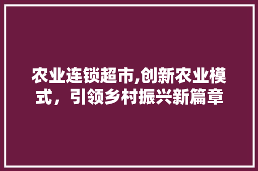 农业连锁超市,创新农业模式，引领乡村振兴新篇章