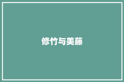 修竹与美藤